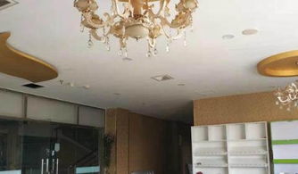 光彩食品城,旺鋪火熱招商